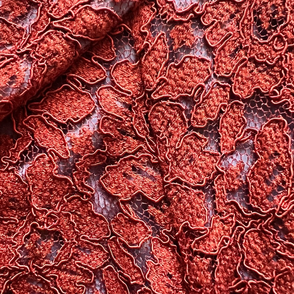 Anthropologie Moulinette Soeurs Burnt Orange | Red Lace Skirt – Size 10 – NWT - Picture 3 of 6